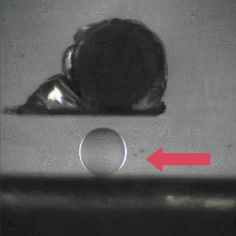 PVA Hydrogel Compression Test