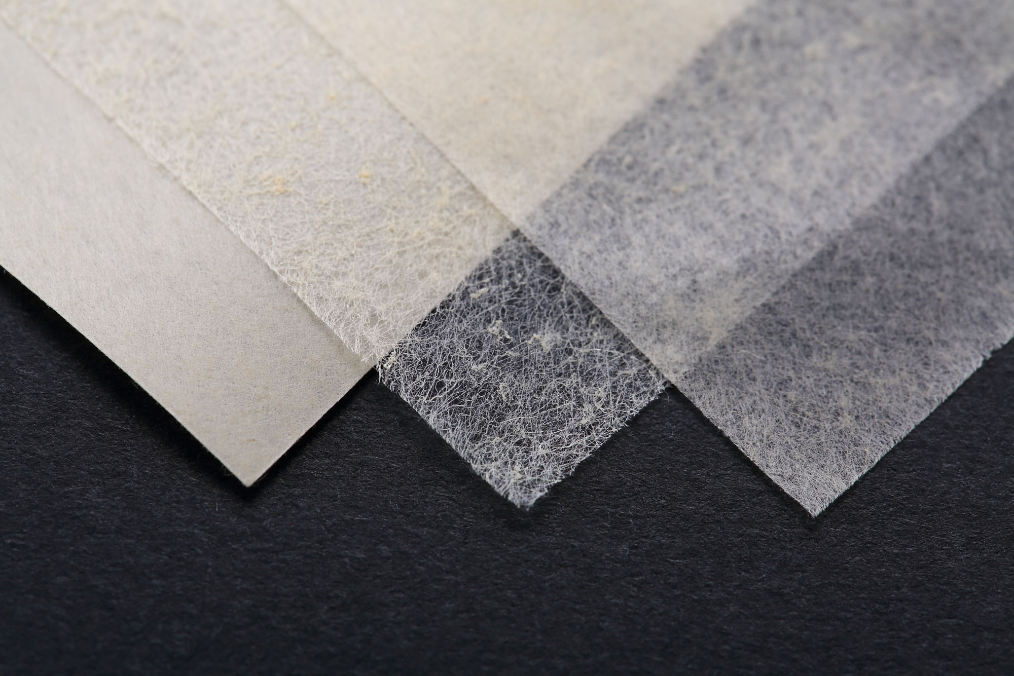 ベクルスの目付比較画像