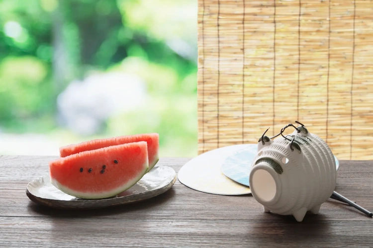 すだれの選び方は？夏に大活躍のおすすめ遮熱すだれをご紹介