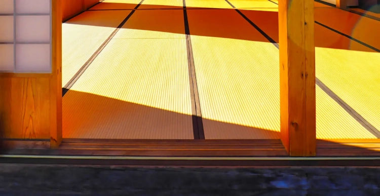 日除けで省エネ効果・畳の日焼け対策