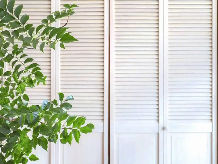 そもそもクローゼットにホコリがたまる原因とは？