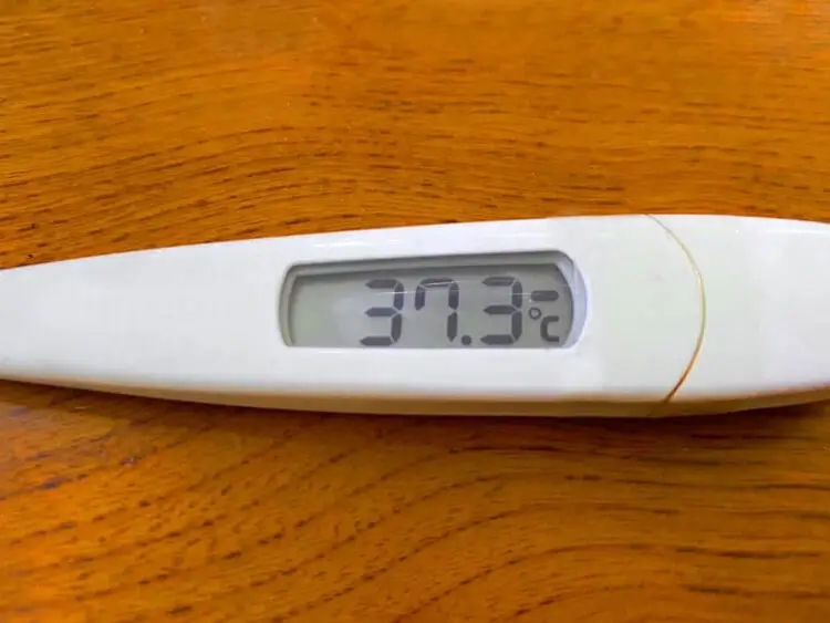体温が高い・汗をかきやすい