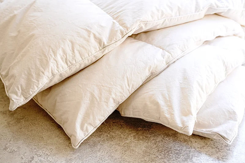 ダニが繁殖する条件や時期とは？