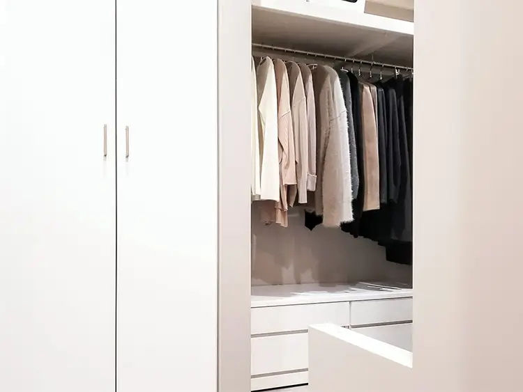 衣類を守るためには、クローゼットやタンスの環境対策も不可欠