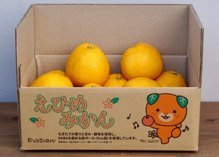 〈PLANTIC〉を使用した高気密性段ボール（許諾番号：708030）