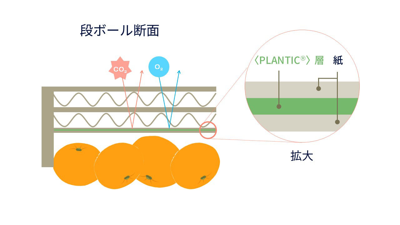 段ボールライナー内側の〈PLANTIC〉層
