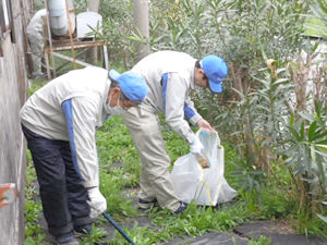 2013年度春　美化活動の様子３