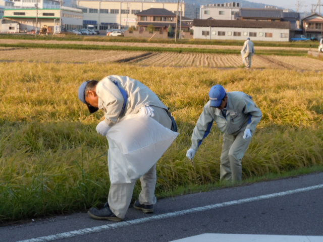 2013年度秋　美化活動の様子１