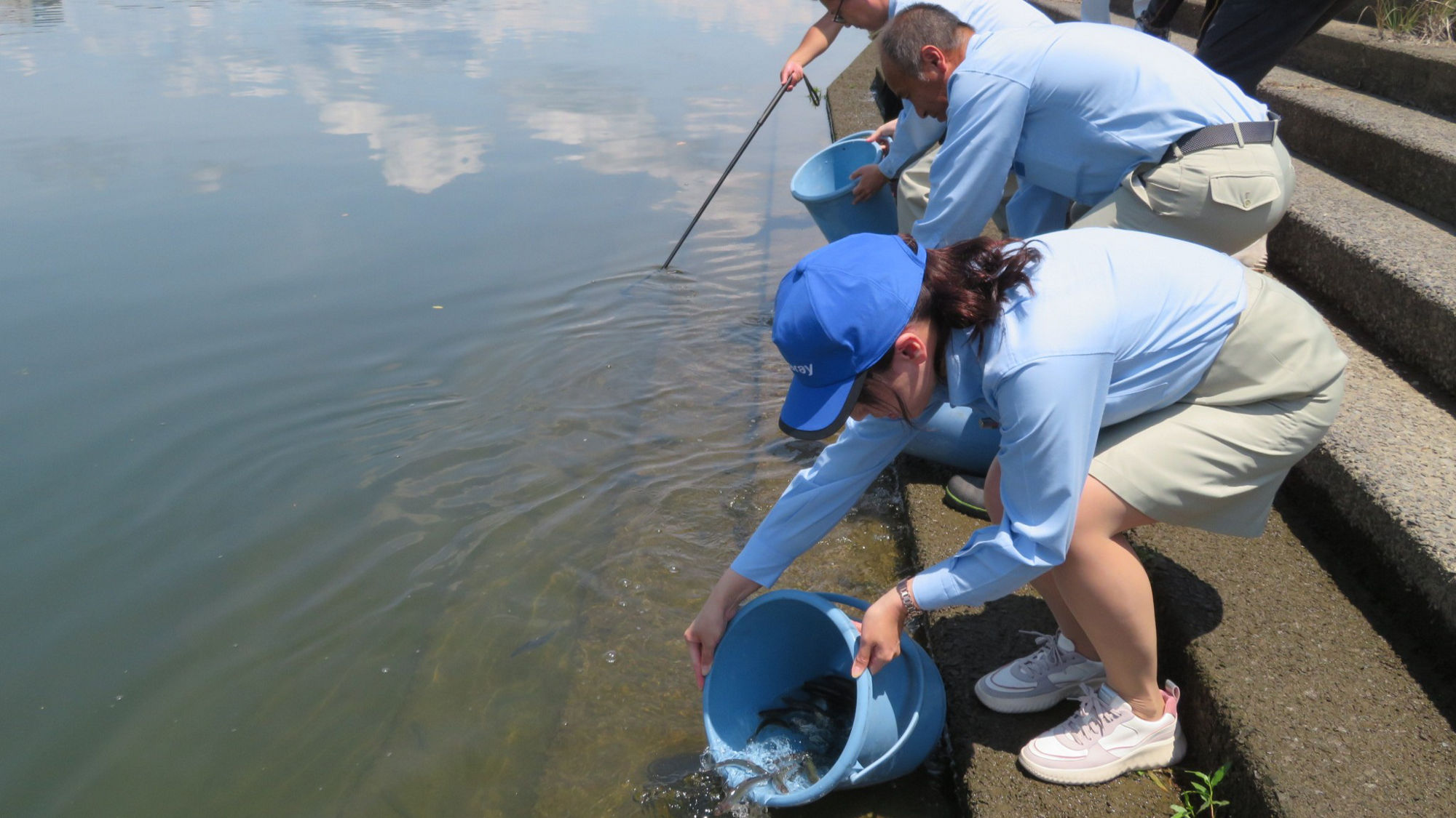 Image: Release of juvenile ayu (Okayama)
