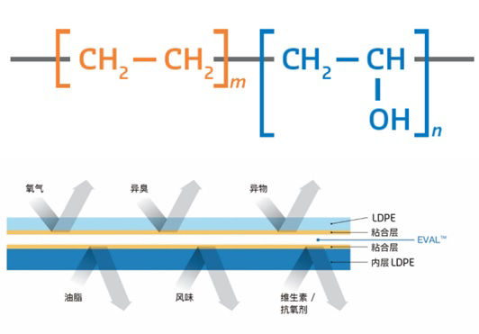 The molecular structure of EVAL