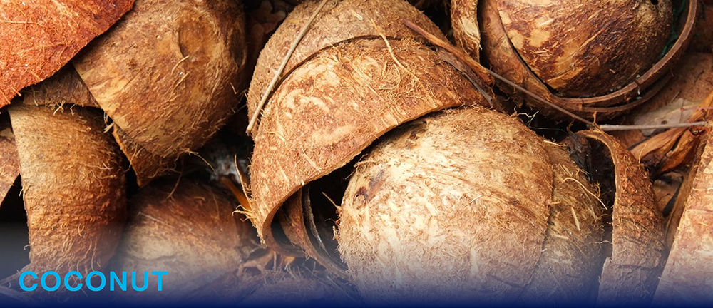 Photo: Coconut shell