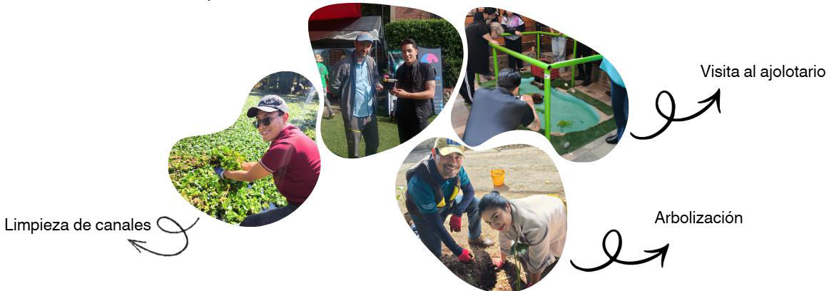 Actividades de responsabilidad social