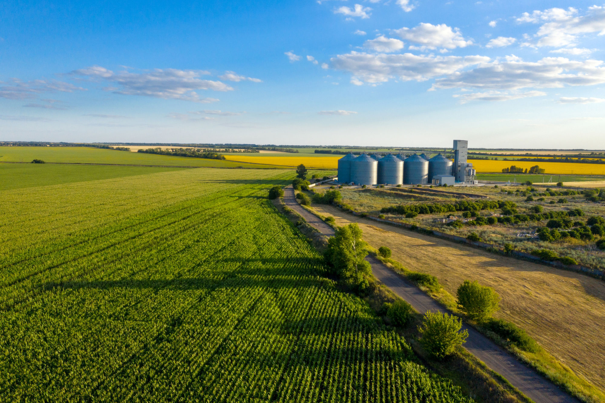 Panoramablick auf ein landwirtschaftlich bearbeitetes Feld bei blauem fast wolkenlosen Himmel. Im Hintergrund ist eine landwirtschaftliche Industrieanlage zu sehen.