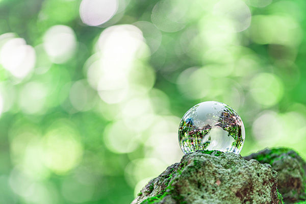 選ばれる5つの理由3