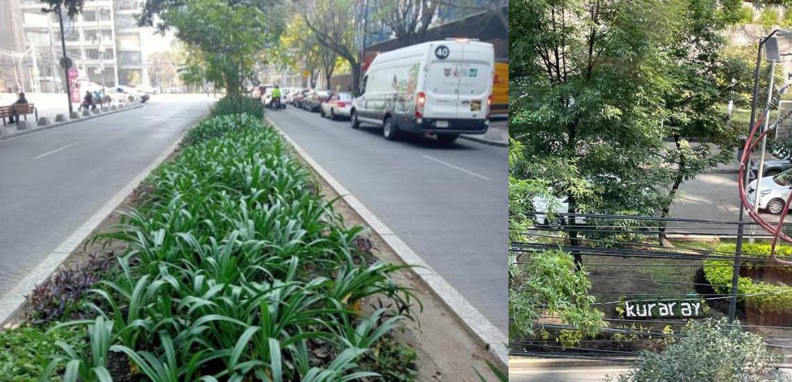 Areas verdes adoptadas