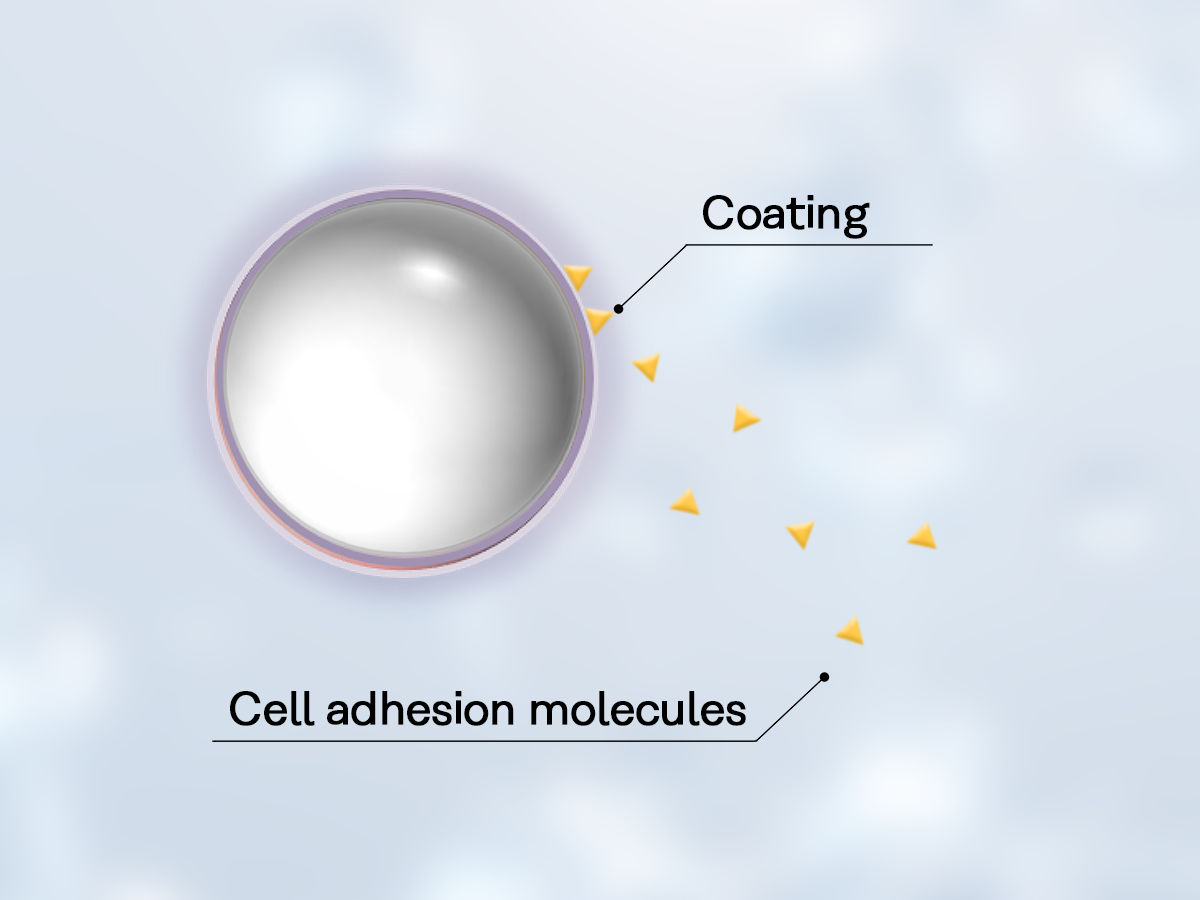 Image: SCAPOVA™ AS