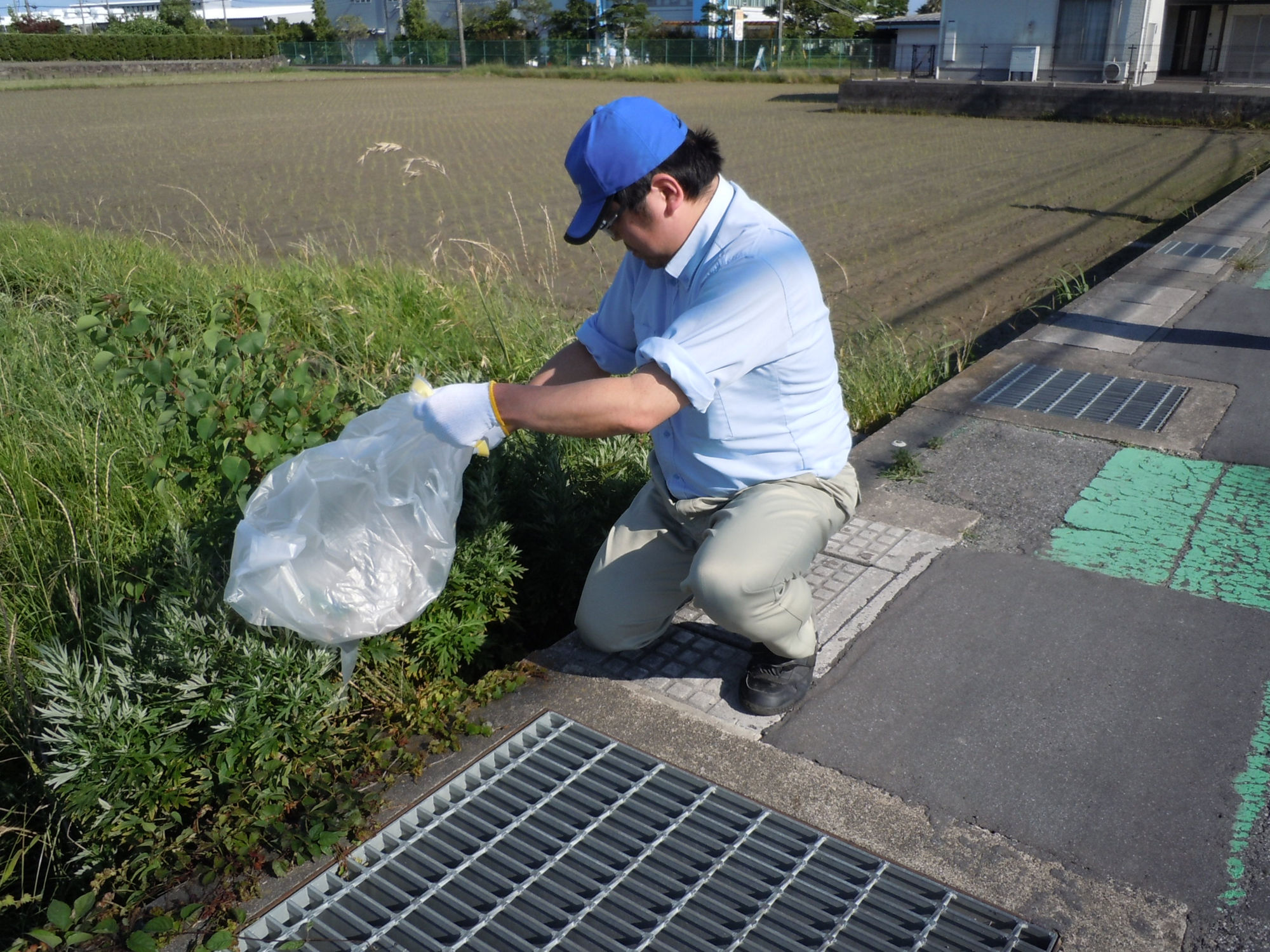 美化活動　工場周辺道路
