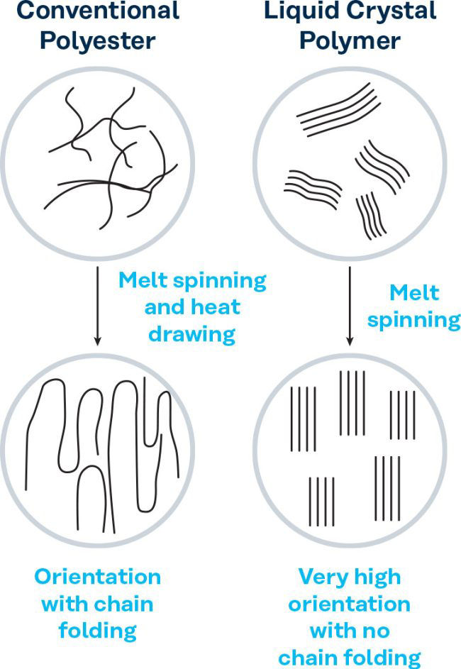 Polymer and polyester