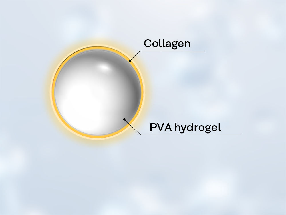 Image: SCAPOVA™ CL