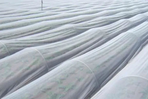 クレモナ® 寒冷紗