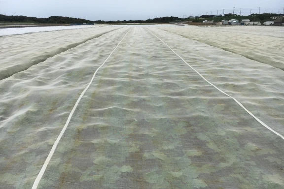 〈クレモナ® 寒冷紗〉使用時