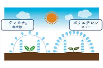 〈クレモナ® 寒冷紗〉　蒸散防止効果