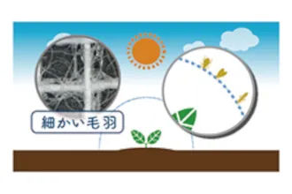 〈クレモナ® 寒冷紗〉　細かい毛羽で害虫の侵入を軽減する防虫効果