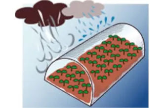風雨による被害の軽減