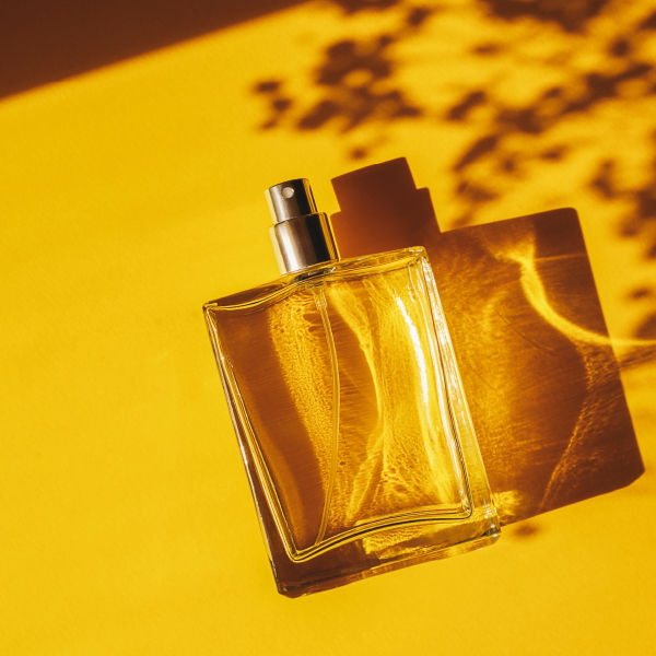 シトラールトップ画像