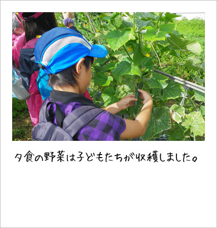 こども〈エコトーク®〉キャンプの様子