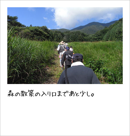 こども〈エコトーク®〉キャンプの様子