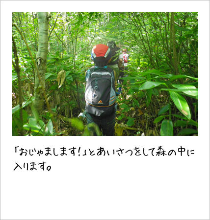 こども〈エコトーク®〉キャンプの様子