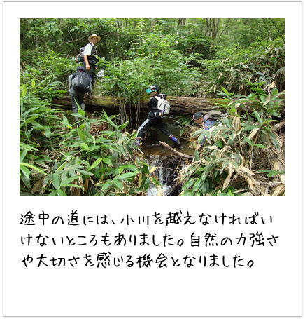 こども〈エコトーク®〉キャンプの様子