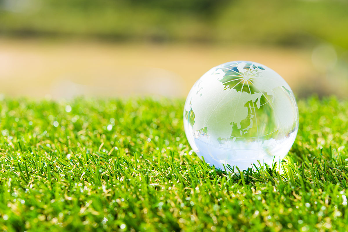 Image: Environmental Protection