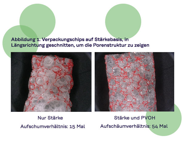 Abbildung 1. Verpackungschips auf Stärkebasis, in Längsrichtung geschnitten, um die Porenstruktur zu zeigen