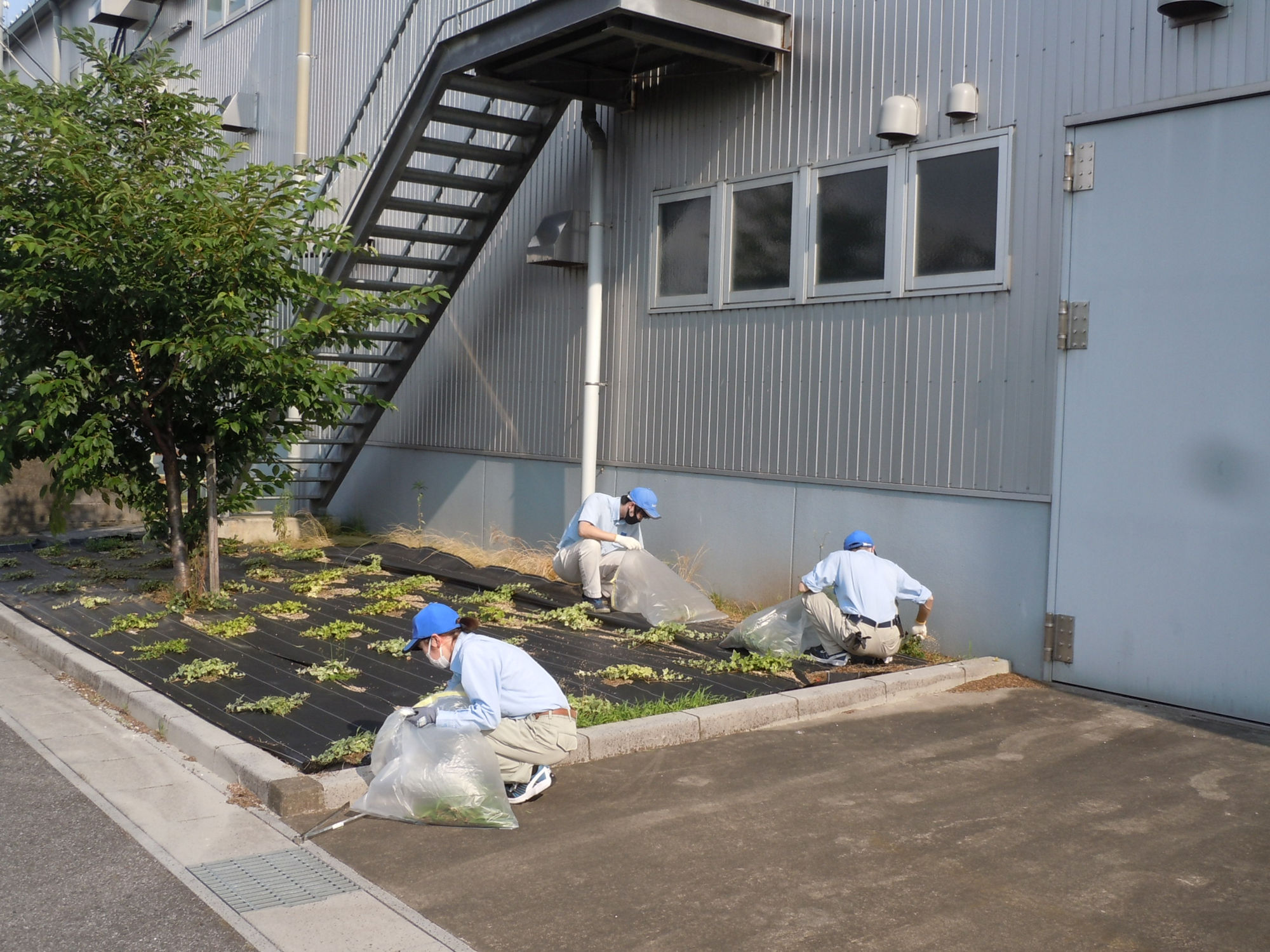 2021年6月度 美化活動の様子2