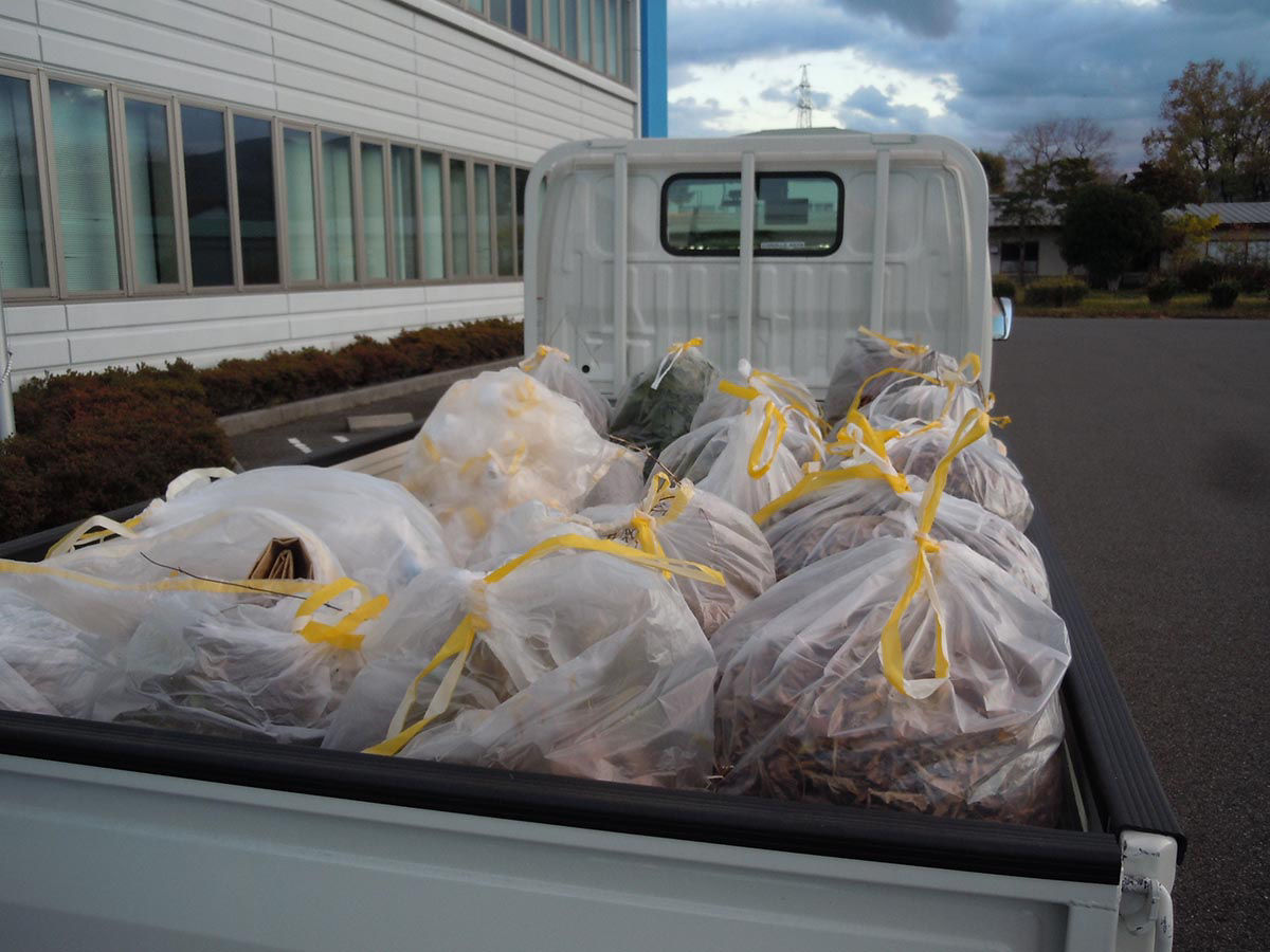 2023年12月度 美化活動の様子１