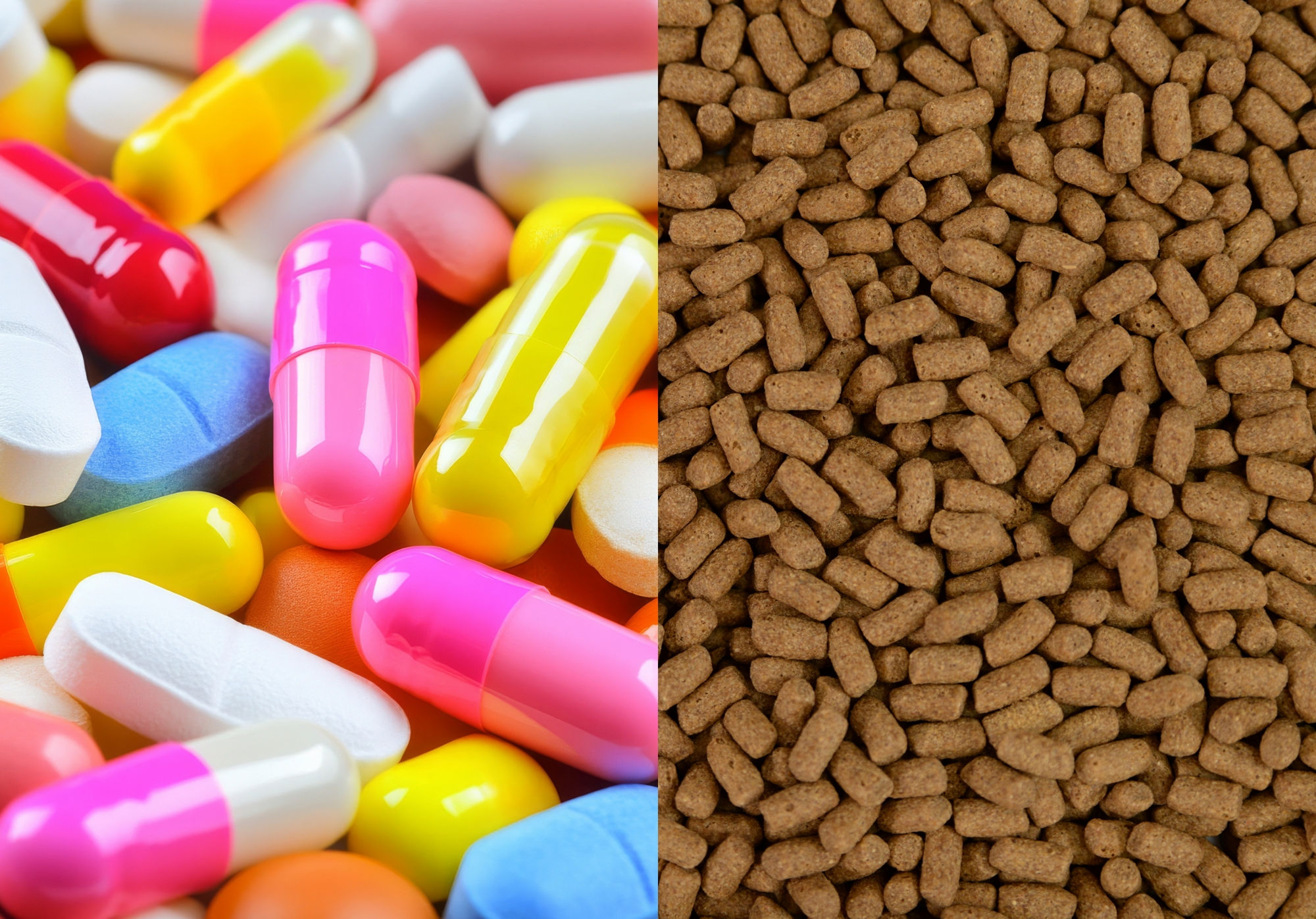 Tierfutter – gmp - umweltfreundlich. Tabletten mit Überzug. Kuraray Poval™ GMP Produktion.