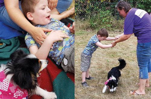 Kid playing with a dog