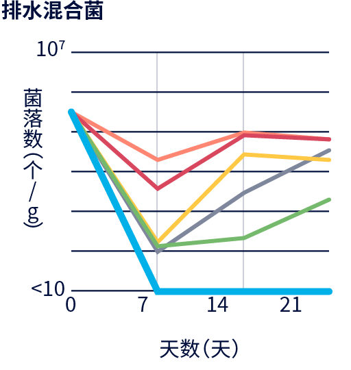 图表：防腐力：排水混合菌