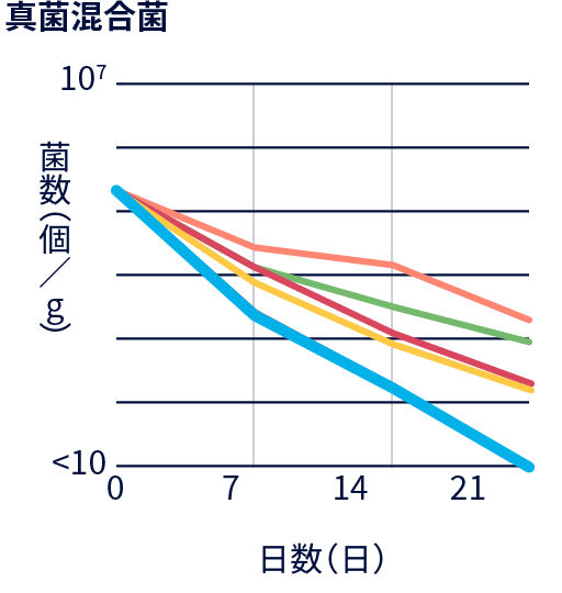 グラフ：防腐力：真菌混合菌
