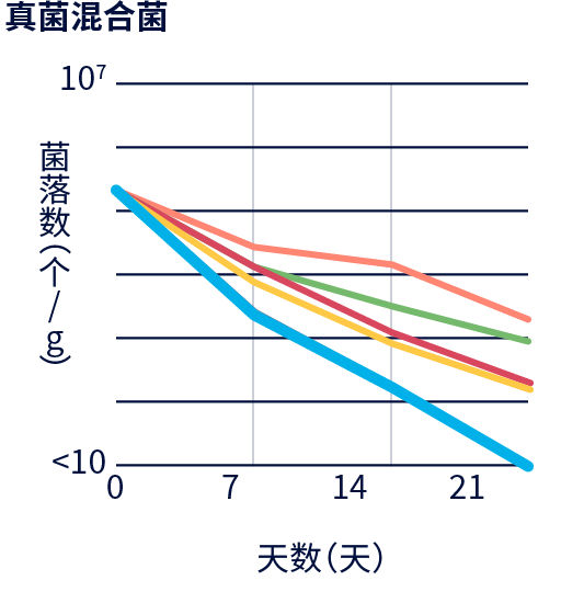 图表：防腐力：真菌混合菌