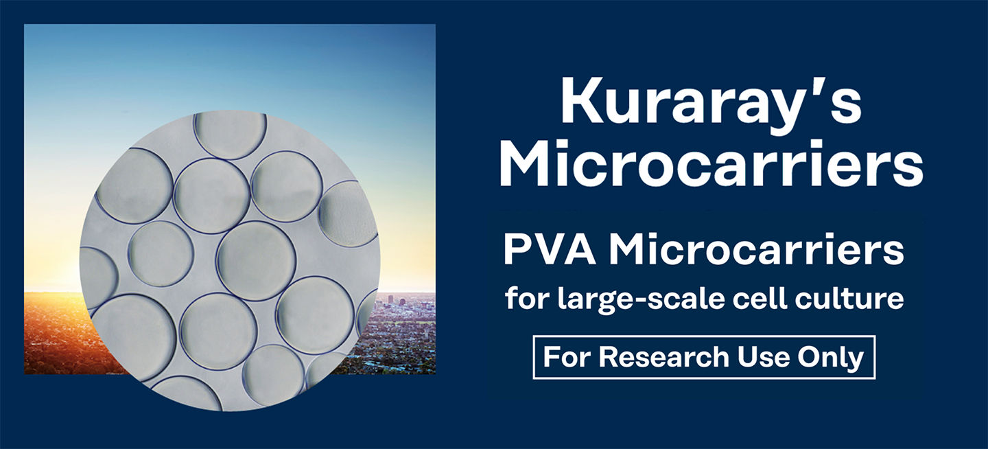 PVA Microcarriers Top image