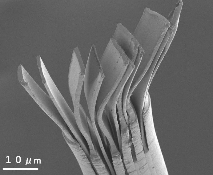 Electron micrograph of ultrafine split fiber