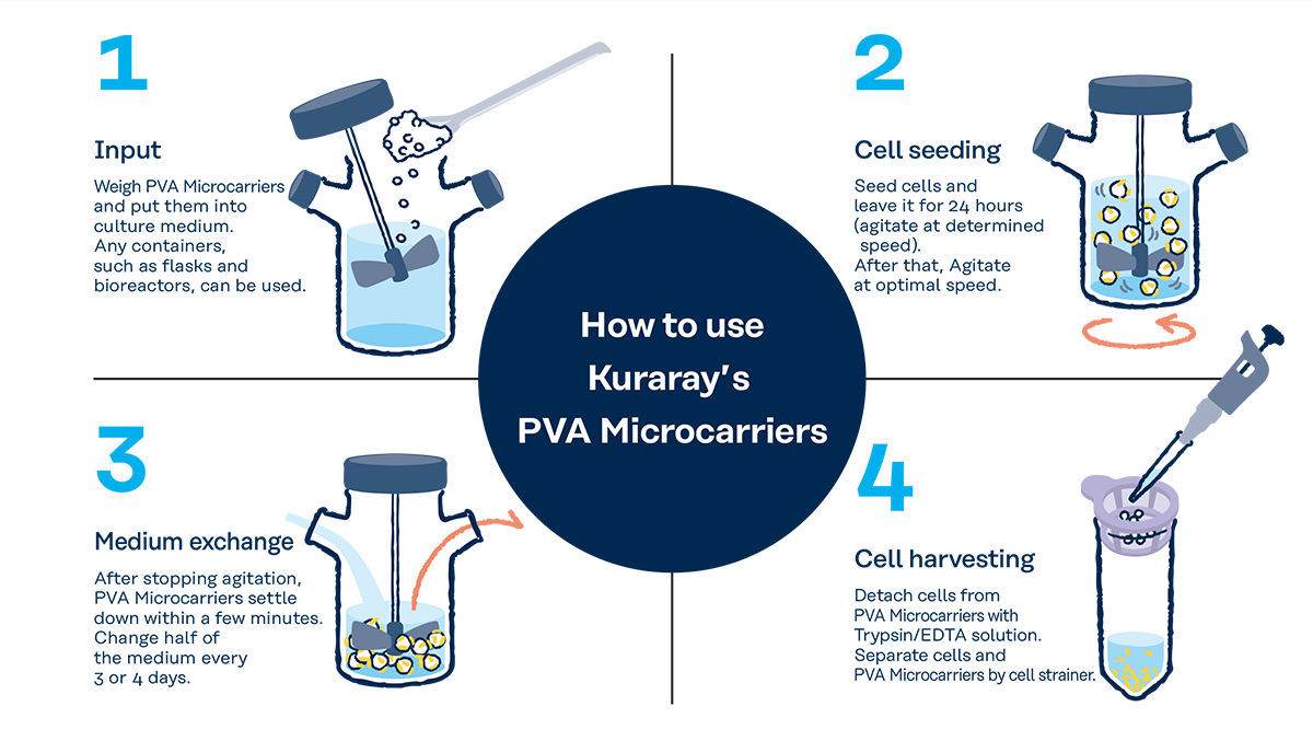 How to use PVA Microcarriers