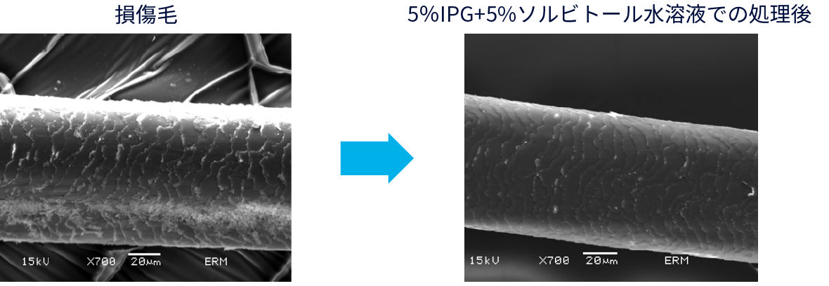 写真：毛髪補修効果の電子顕微鏡観察