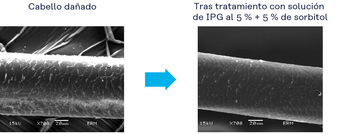 Fotografía: Observación con microscopio electrónico del efecto reparador en el cabello