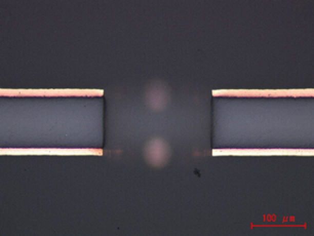 Cross-sectional view of VECSTAR™