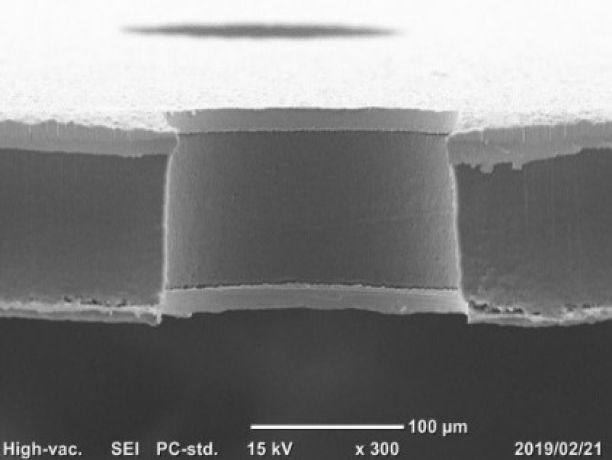 Cross-sectional view of VECSTAR™