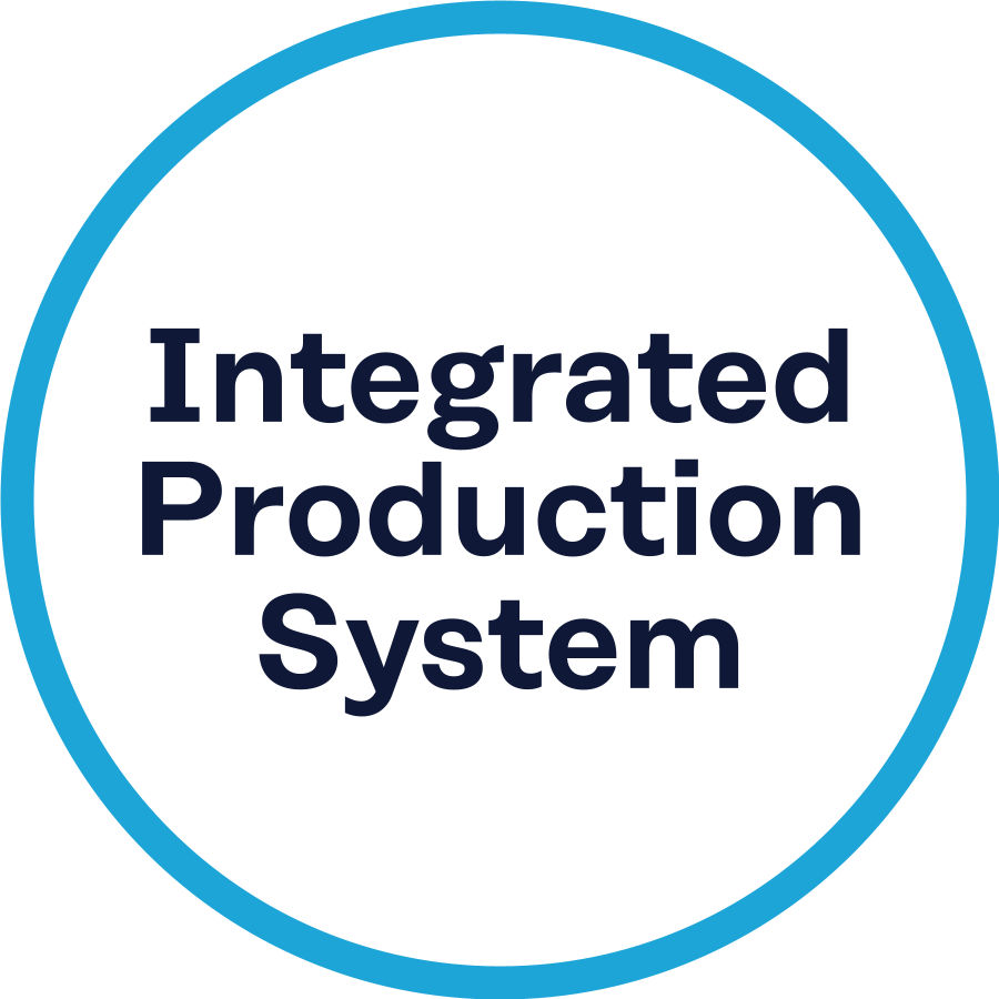 Integrated production system